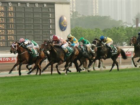 香港跑馬是什麼？